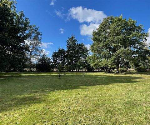 Blick auf das Grundstück bis zum Wald