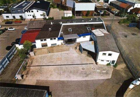 Stuttgart Halle, Stuttgart Hallenfläche