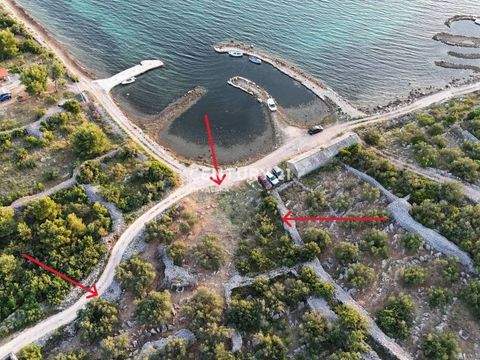 Pirovac Bauernhöfe, Landwirtschaft, Pirovac Forstwirtschaft