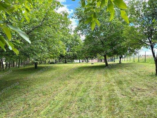 Garten mit Obstbäumen