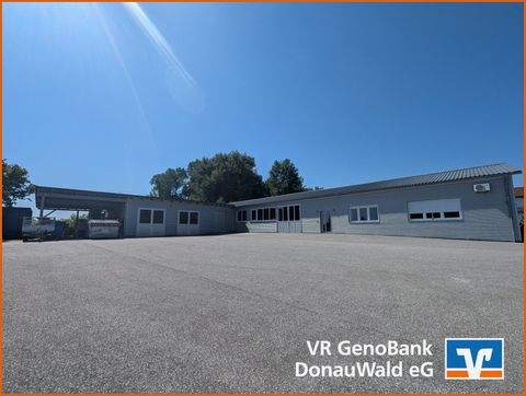 Osterhofen Halle, Osterhofen Hallenfläche