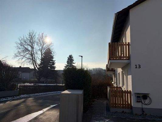 Blick in die Abendsonne