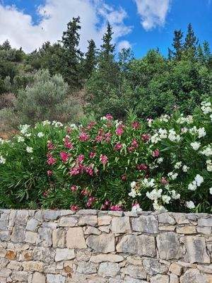 Kreta, Paidochori: Ländliches Steinhaus mit freier Aussicht zu verkaufen
