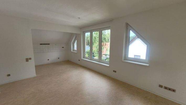 Wohnzimmer mit Küche