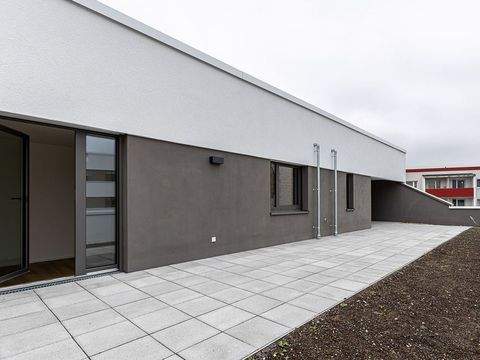 Halle Wohnungen, Halle Wohnung mieten