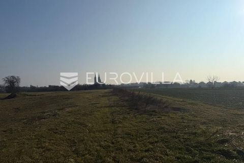 Djakovo Bauernhöfe, Landwirtschaft, Djakovo Forstwirtschaft
