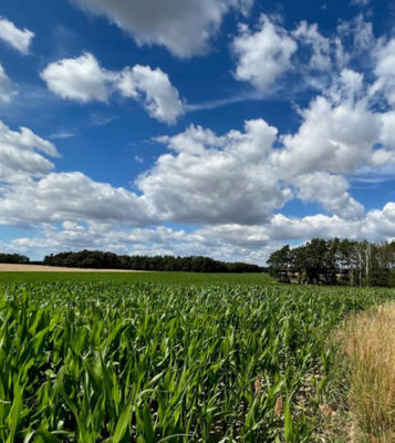 Ackerfläche Bölzke/Ostprignitz zu verkaufen