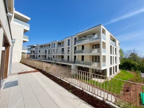 Dresden Wohnungen, Dresden Wohnung mieten