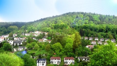 Wilhelmsfeld Bauernhöfe, Landwirtschaft, Wilhelmsfeld Forstwirtschaft