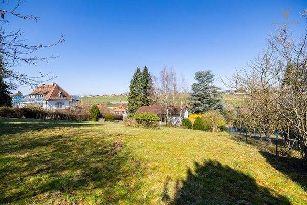 Ausblick auf die Weinberge