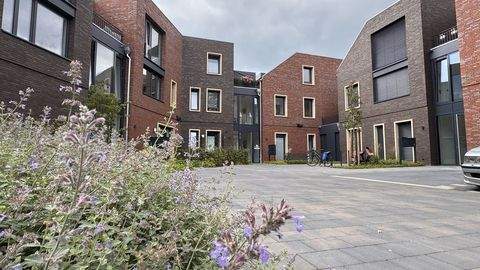 Neuenhaus Wohnungen, Neuenhaus Wohnung kaufen