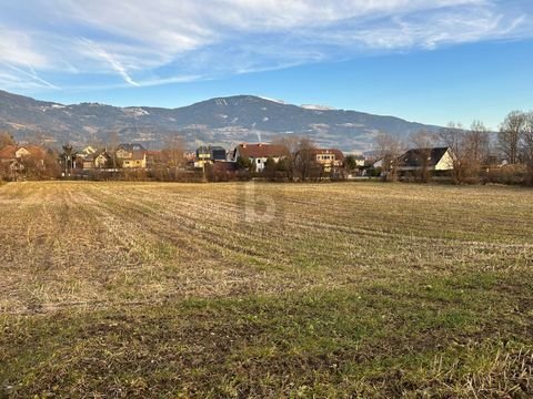 Wolfsberg Bauernhöfe, Landwirtschaft, Wolfsberg Forstwirtschaft