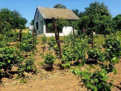Knezevi Vinogradi Häuser, Knezevi Vinogradi Haus kaufen