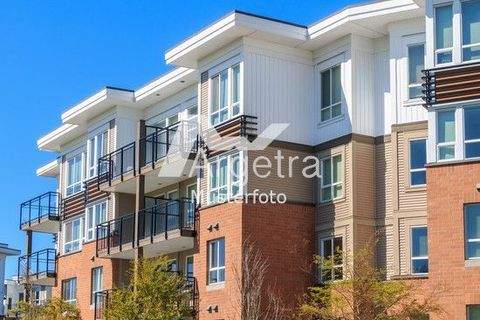 Friedberg Häuser, Friedberg Haus kaufen