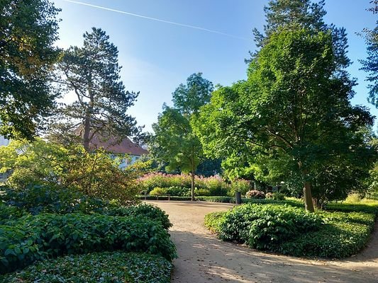 Blick in den Prinzesshofpark