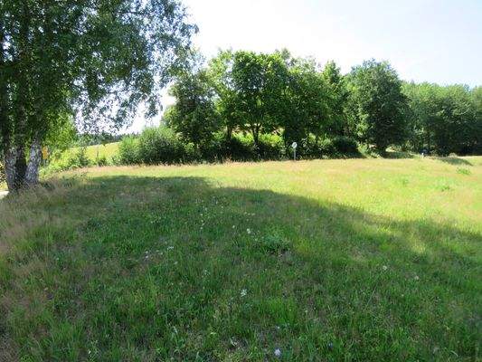 oberer Teil des Grundstücks 