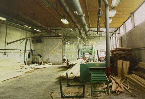 Brod Moravice Halle, Brod Moravice Hallenfläche