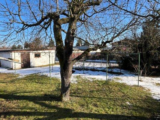 007-Blick von der Terrasse.jpg