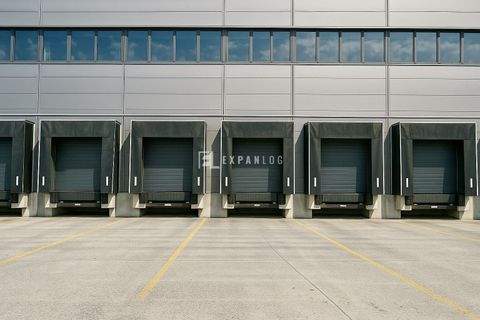 Hilden Halle, Hilden Hallenfläche