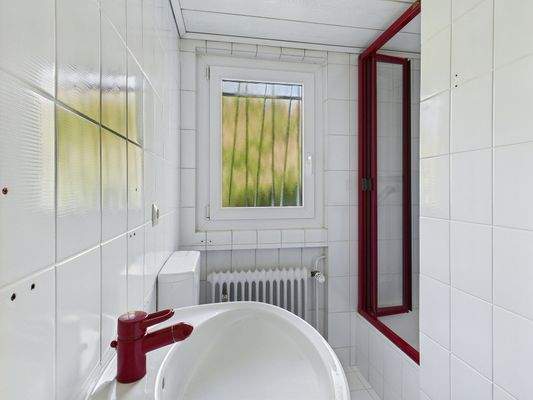 Tageslicht Badezimmer 1