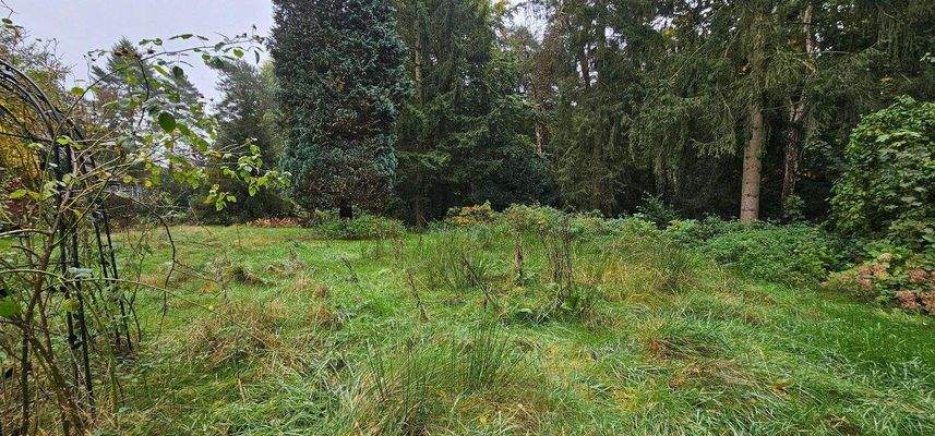 Grundstücksansicht 2.jpg