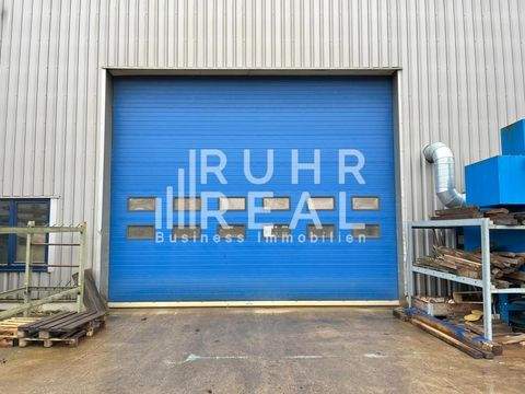 Castrop-Rauxel Halle, Castrop-Rauxel Hallenfläche