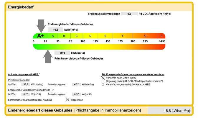 Auszug Energieausweis