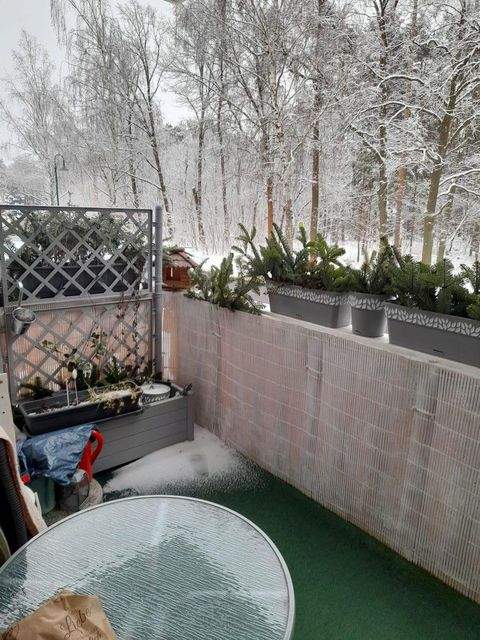 Cottbus Wohnungen, Cottbus Wohnung mieten