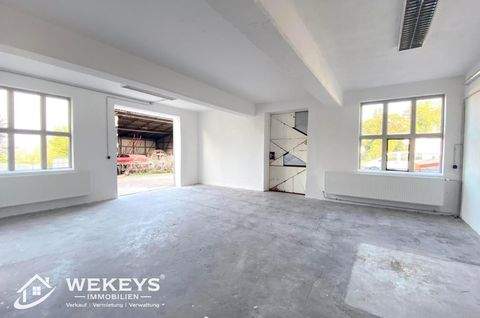 Ollendorf Halle, Ollendorf Hallenfläche