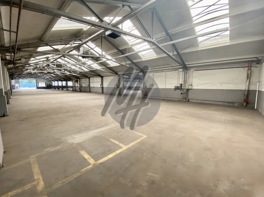 INFOS UNTER: 06171-586000