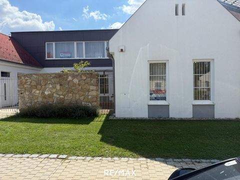 Parndorf Büros, Büroräume, Büroflächen 