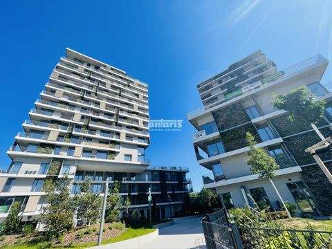 Erfurt Wohnungen, Erfurt Wohnung mieten