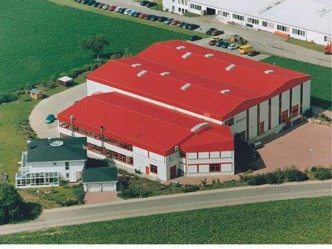 Külsheim Halle, Külsheim Hallenfläche