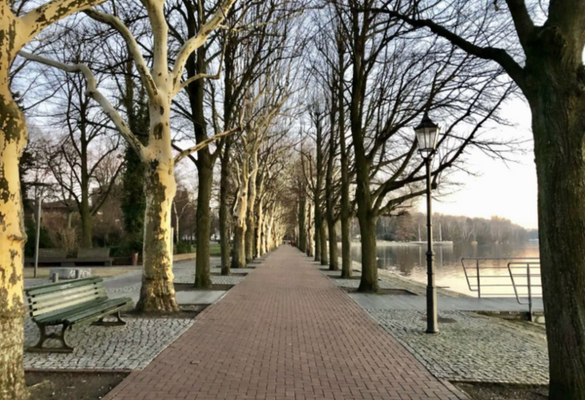 Umgebung Promenade Tegeler See