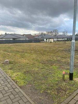 PHOTO-2026-02-23-13-01-03 (2).jpg