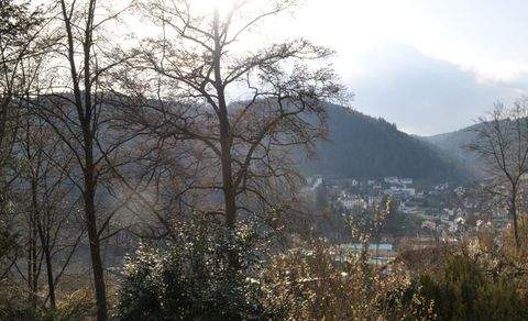 Bad Liebenzell Häuser, Bad Liebenzell Haus kaufen