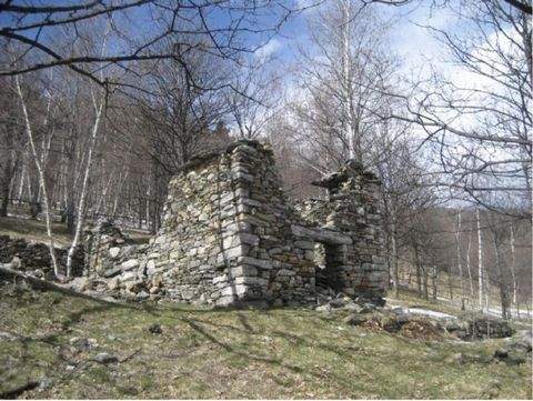 Trarego Viggiona Häuser, Trarego Viggiona Haus kaufen