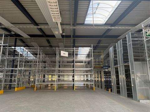 Zossen Halle, Zossen Hallenfläche