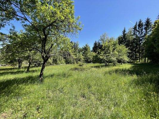 Weitläufiges Grundstück mit Obstbäumen