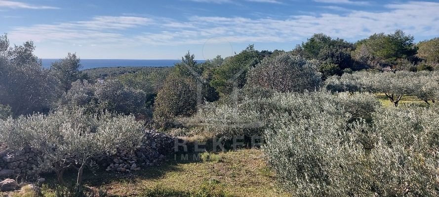 Landwirtschaft am Meer für doppelte Freude