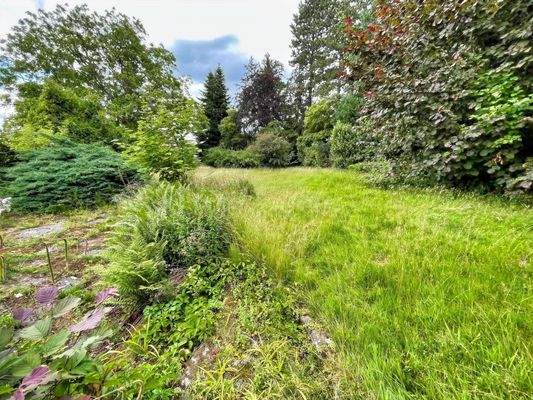 Ansicht in den Garten