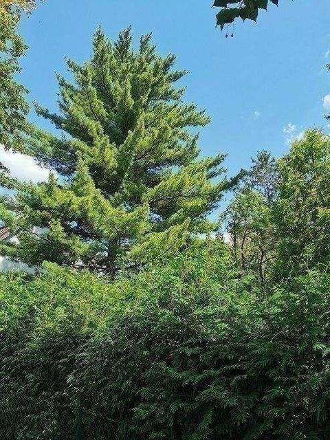 Berlin Grundstücke, Berlin Grundstück kaufen