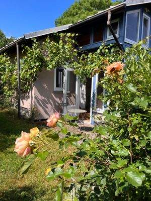 Guten Morgen im Grünen