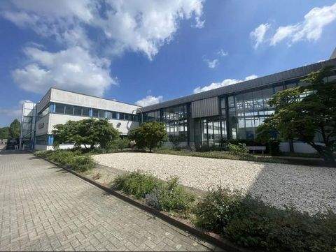 Osnabrück Halle, Osnabrück Hallenfläche