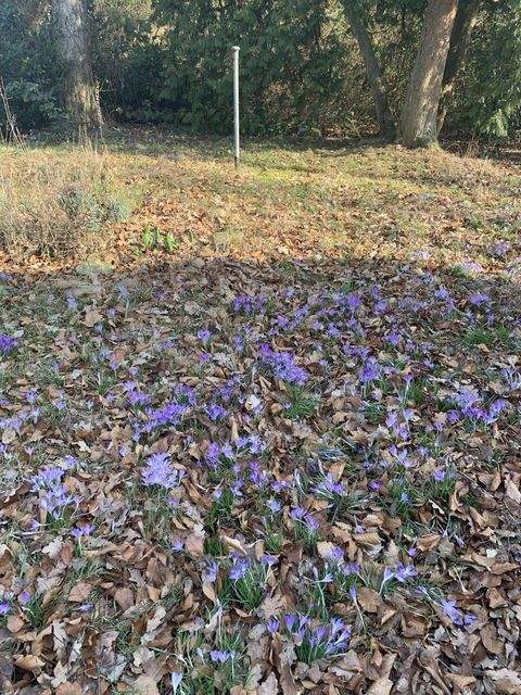 Hamfelde Grundstücke, Hamfelde Grundstück kaufen