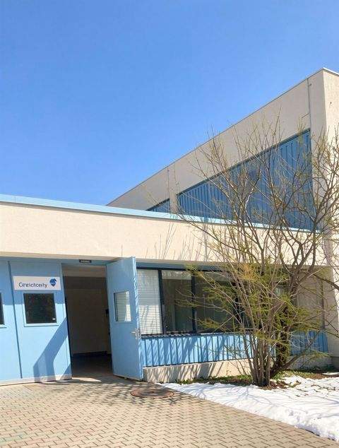 Alzenau Halle, Alzenau Hallenfläche