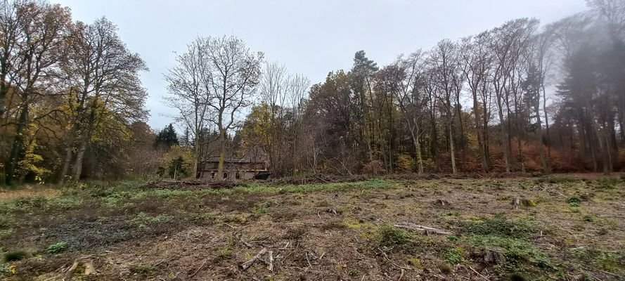 Brandruine Barnim 3.jpg