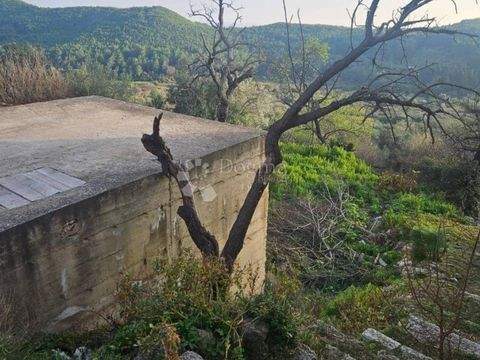 Mljet Bauernhöfe, Landwirtschaft, Mljet Forstwirtschaft