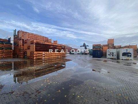 Hamburg Halle, Hamburg Hallenfläche