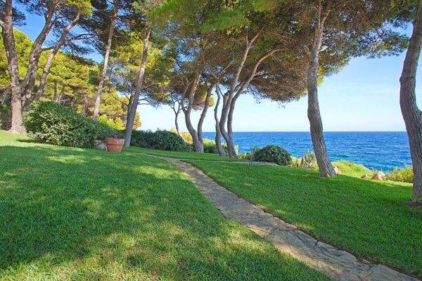 Costa de los Pinos Villa Garten 88174